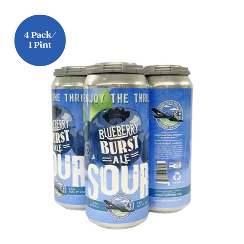 Blueberry Burst Ale Sour Beer 4pk 1 pint Cans