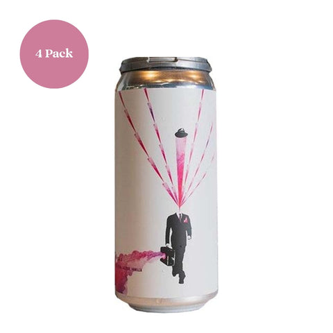 Embolden Seeking Aotearoa IPA Beer 4pk 16 fl oz