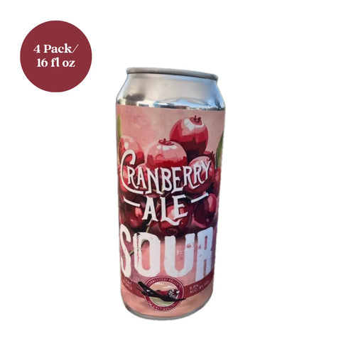 Connecticut Valley Cranberry Ale Sour Beer 4pk 16 fl oz Cans