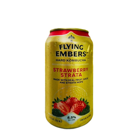 Flying Embers Strawberry Strata Hard Kombucha 16 fl oz